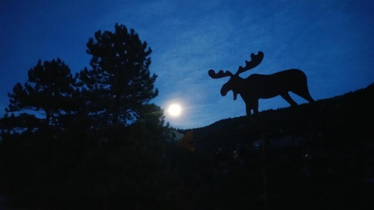 Hotel Alpine Moose 3*